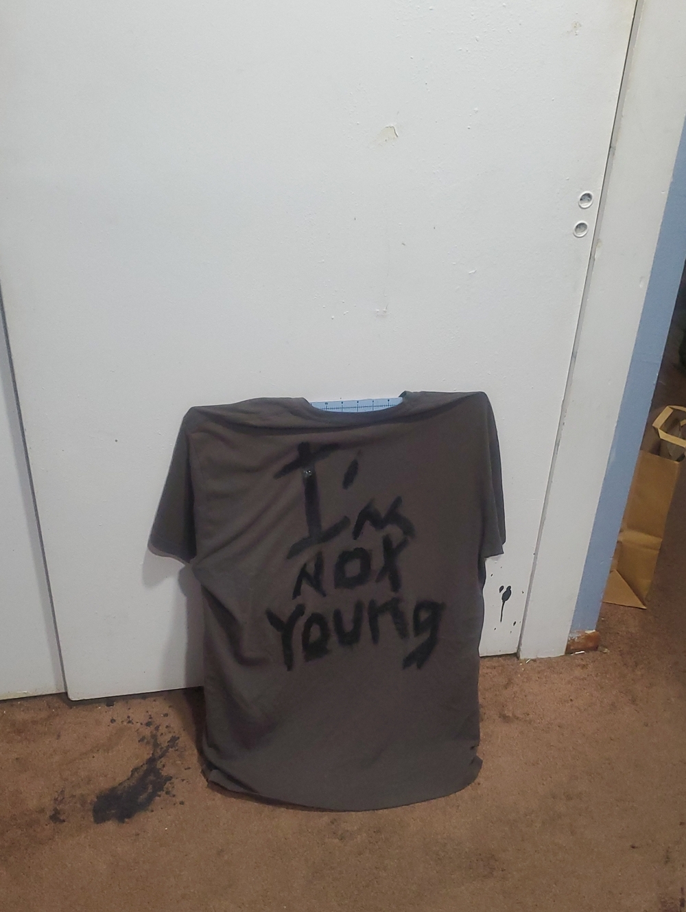 Gray Short Sleeve Graphic Tee - "I'm Not Young"